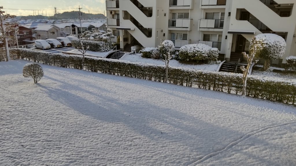 知多市に初雪が積もりました。